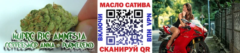 ТГК вейп  Суджа 