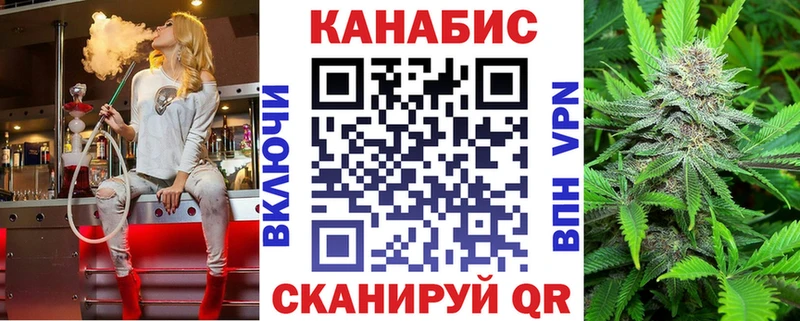 где продают   Суджа  Канабис сатива 